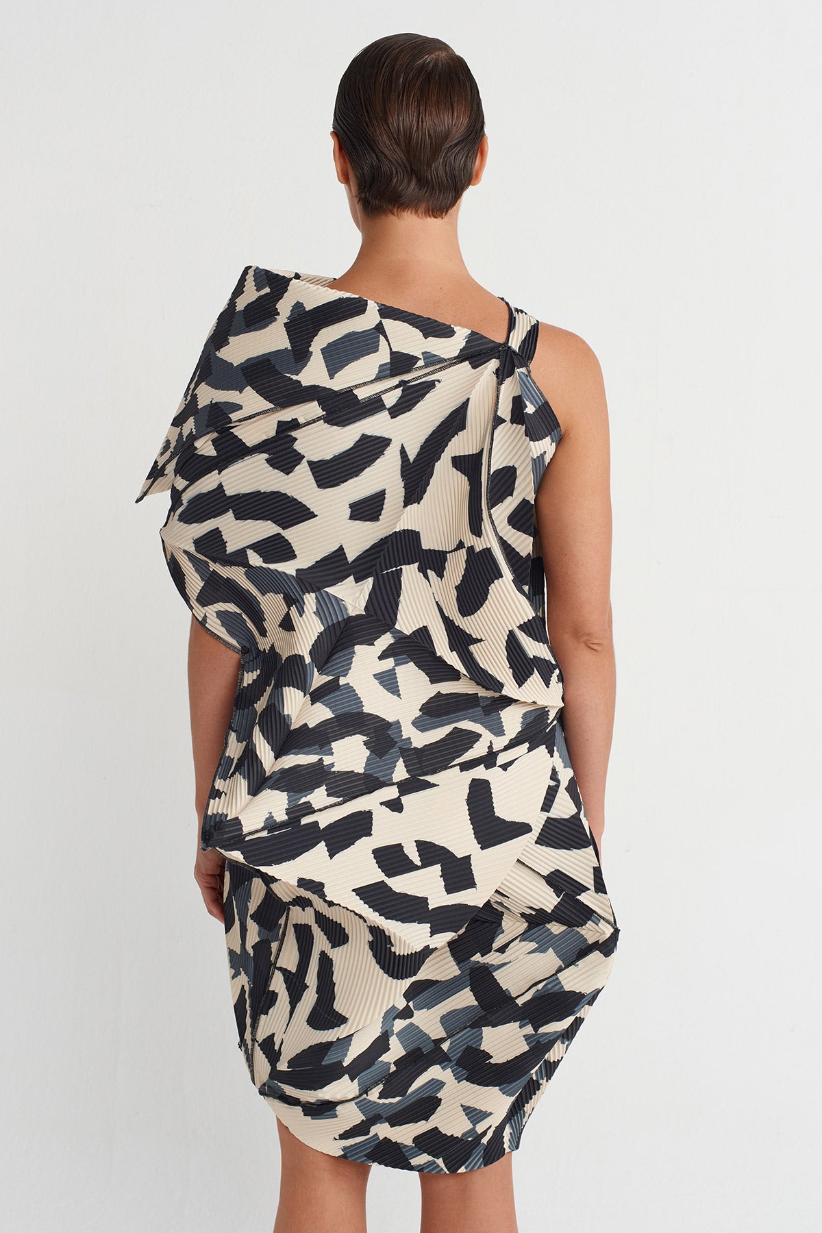Printed Origami-Shaped Pleated Dress - Y264014025