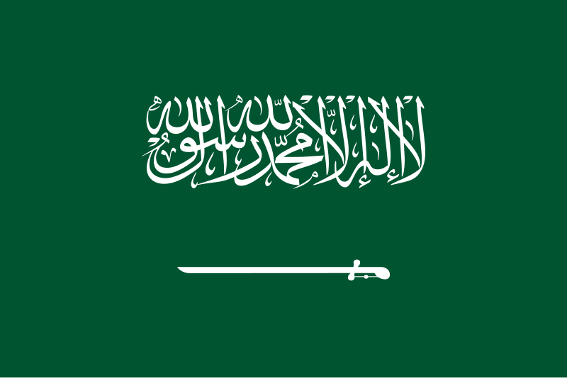 SA Flag