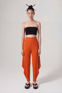 Amber Pleated Trousers with Drape Sides-Y263013030