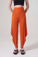 Amber Pleated Trousers with Drape Sides-Y263013030
