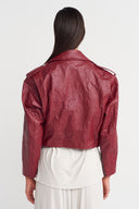 Plum-colored Faux Leather Biker Jacket with Belt Detail - Y265015006